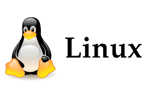 GNU Linux